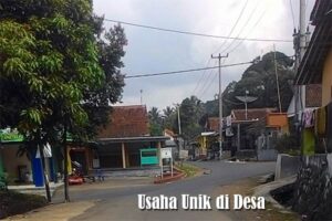 Usaha Unik di Desa