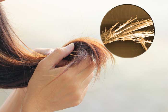 Cara Menghilangkan Rambut Bercabang