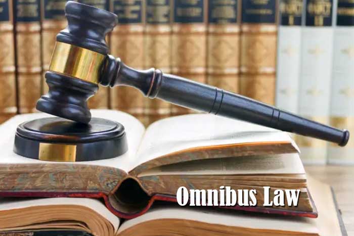 Omnibus Law
