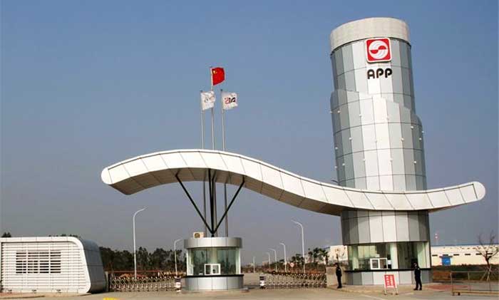 Asia Pulp and Paper