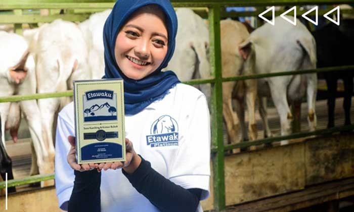 etawaku susu tulang dan sendi