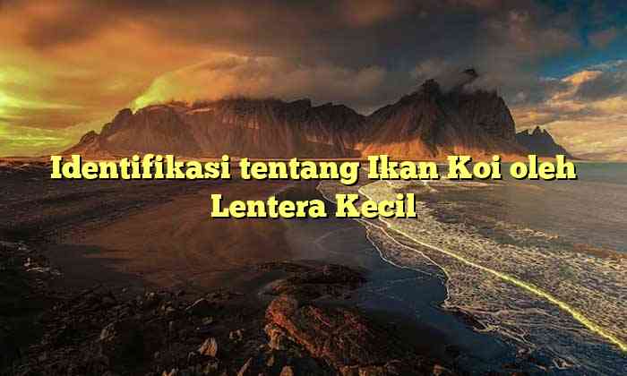 Identifikasi tentang Ikan Koi oleh Lentera Kecil